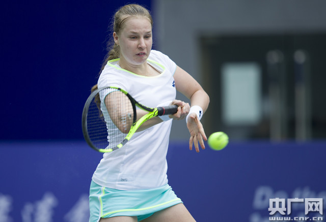 包括证人证 包括证人证